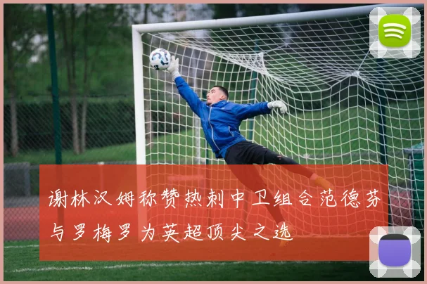 谢林汉姆称赞热刺中卫组合范德芬与罗梅罗为英超顶尖之选