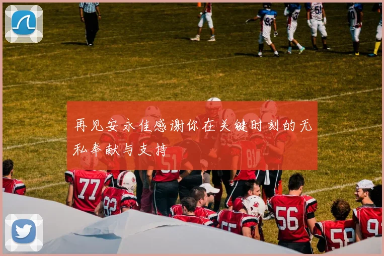 再见安永佳感谢你在关键时刻的无私奉献与支持