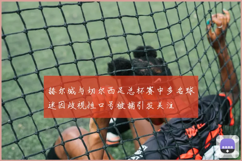 赫尔城与切尔西足总杯赛中多名球迷因歧视性口号被捕引发关注