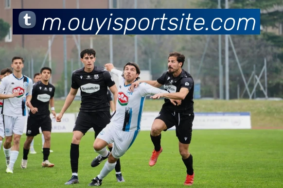 App Interface Preview