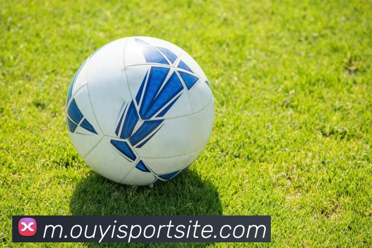 欧亿体育APP 封面图